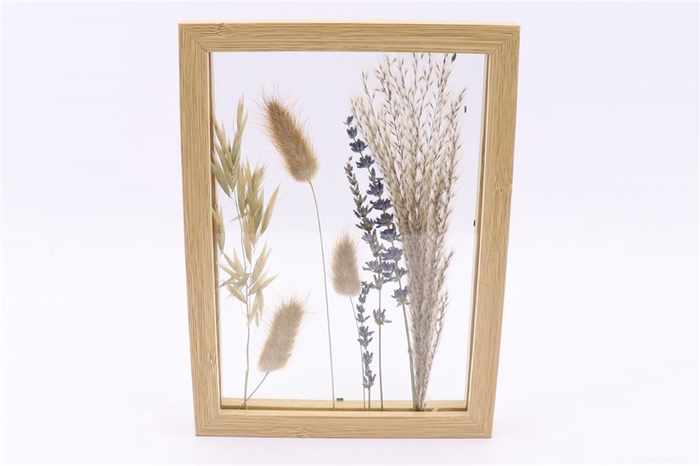 ARR FRAME EXPOSE DRIED PROVENCE L17.5W2