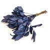 Salal tips dried per bunch Dark Blue