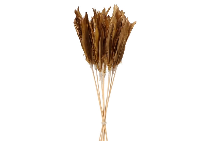 <h4>Feathers Mustard Gold On Stick 58cm P/12</h4>