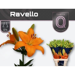 Li La Ravello