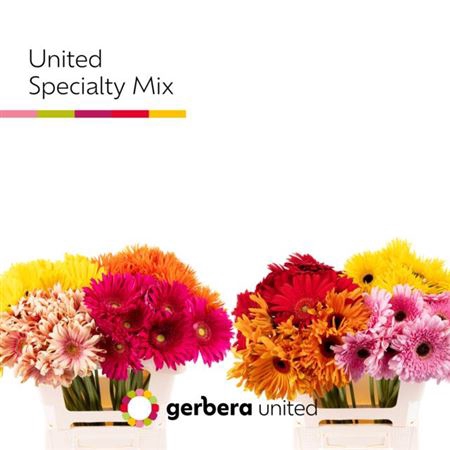 Ge Gr Specialty Mix