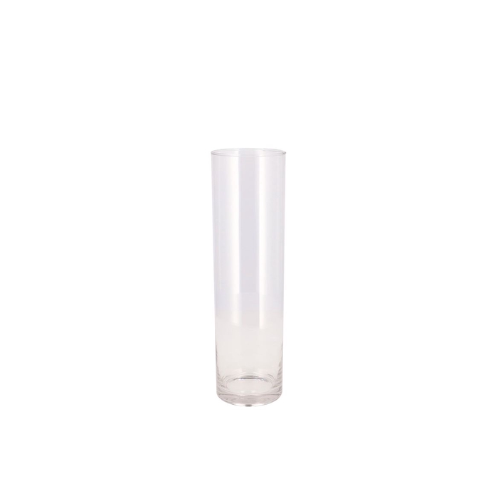 <h4>Glas Cilinder Silo 9x30cm</h4>
