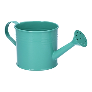 DF04-665360747 - Watering can Maddock d12.5xh11.2 petrol