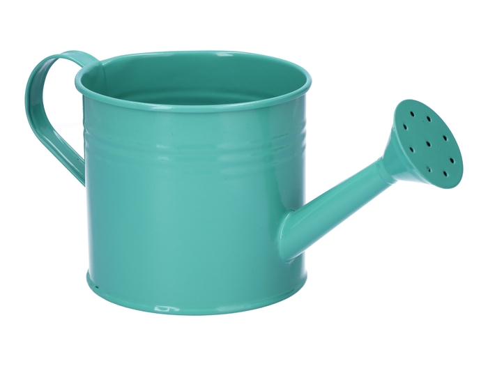 <h4>DF04-665360747 - Watering can Maddock d12.5xh11.2 petrol</h4>