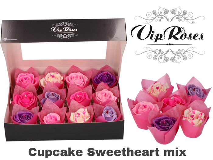<h4>Rosa la paint cupcake sweetheart mix (R364)</h4>