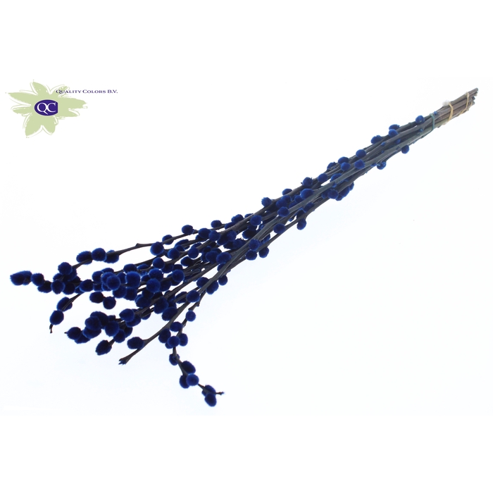 <h4>Pussy Willow 60cm Blue</h4>