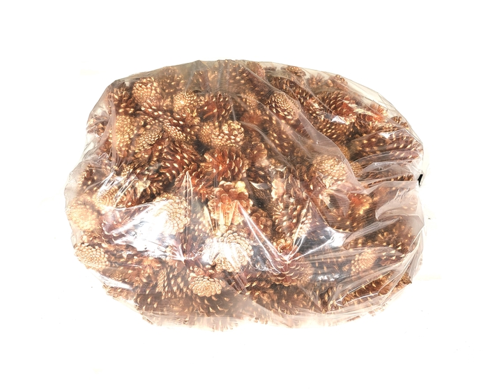 Pine cone 10 kg in bag Copper