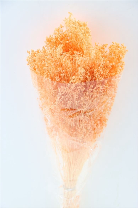 <h4>Dried Brooms Salmon Bunch</h4>