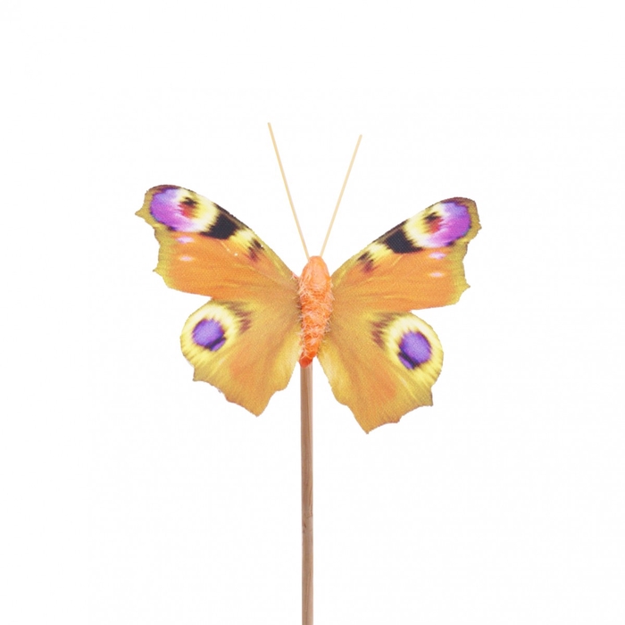 <h4>Sticks 50cm Butterfly Auralia 8cm</h4>