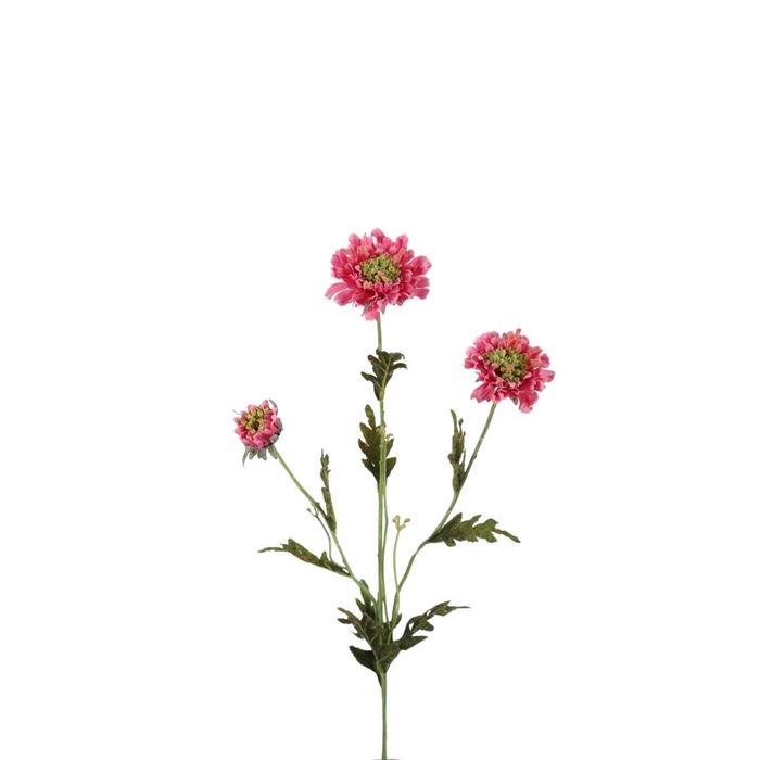 <h4>Artificial flowers Scabiosa 66cm</h4>