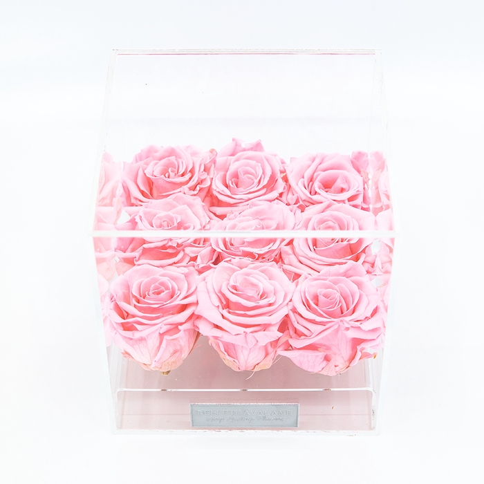 Plexi 15cm roze rozen