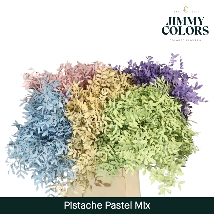 <h4>Pistache L50 Pastel mix</h4>