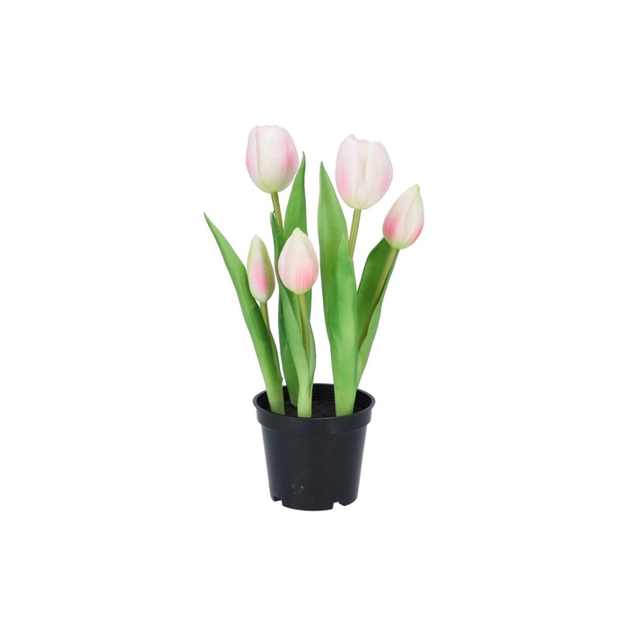 <h4>Silk Tulip In Pot 5x Pink 26cm</h4>