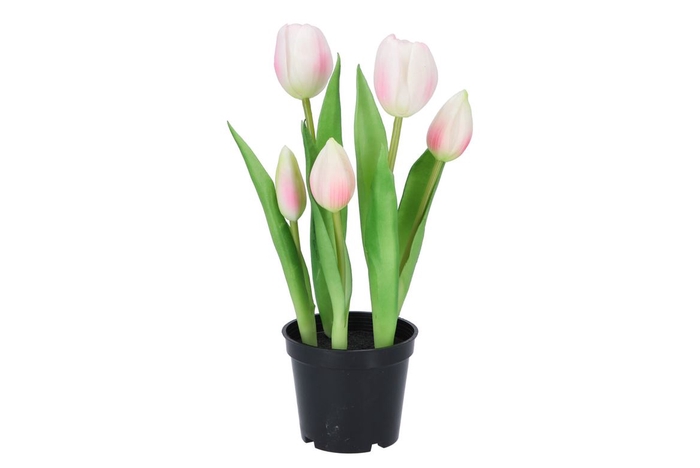 <h4>Silk Tulip In Pot 5x Pink 26cm</h4>