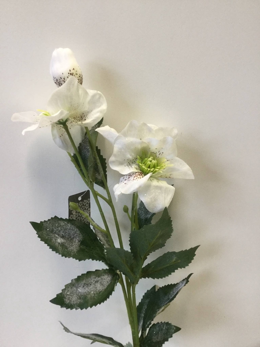 SILK FLOWERS - HELLEBORUS SPRAY NICOLAH WHITE 60CM