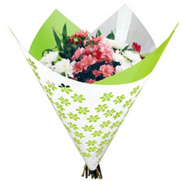 <h4>Vellen 80x90cm OPP50 Clear Flowers l. groen</h4>