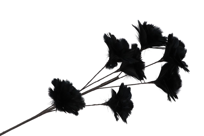 <h4>Silk Feather Flower Black 7 Op Steel 95cm Nm</h4>