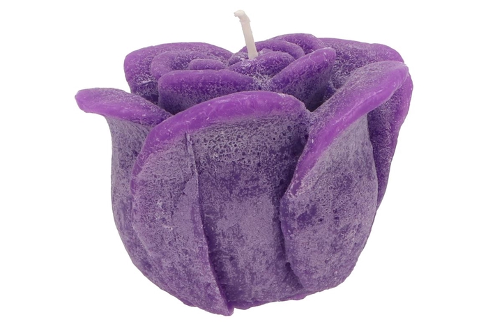 <h4>Candle Roos Purple 14x12cm</h4>