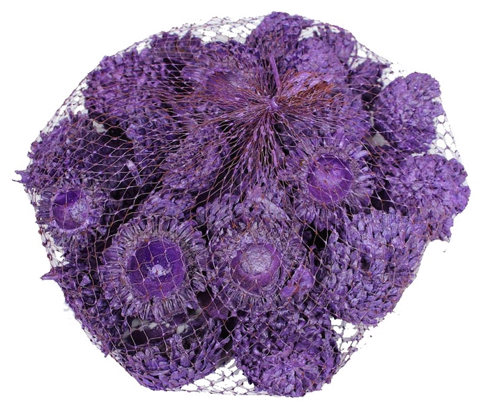 Acorn Cones 500gram in net purple pearl