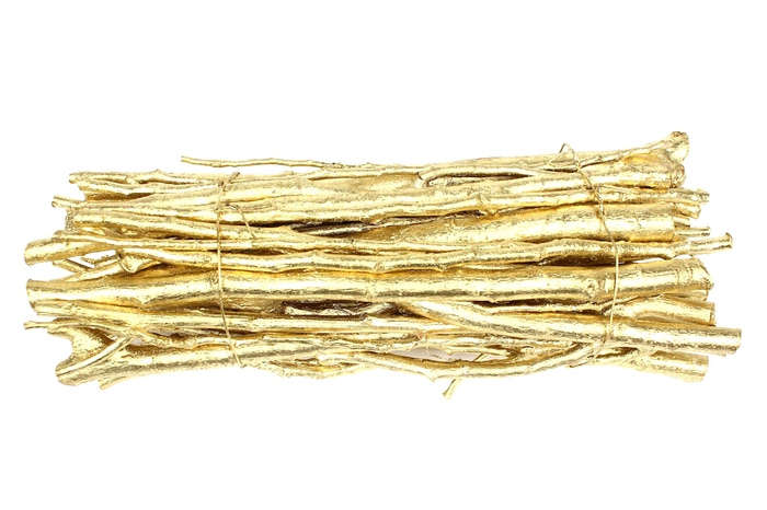 Poplar Bundle diam 15cm length 30cm Gold