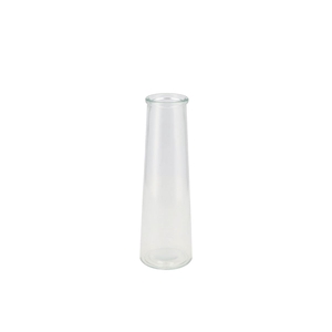 Glass Bottle Clear 8x25cm