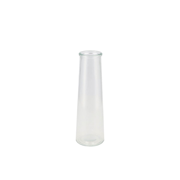 <h4>Glass Bottle Clear 8x25cm</h4>