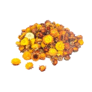 Helichrysum heads kg natural orange