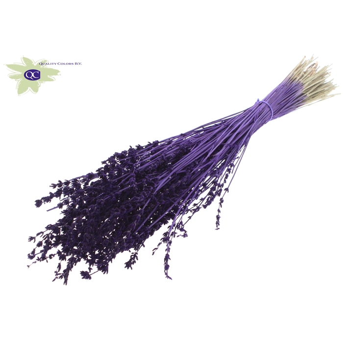 <h4>Lavendel per bunch Purple</h4>