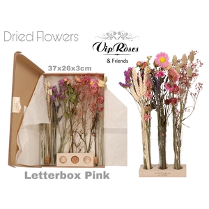 DRIED LETTERBOX PINK TUBES