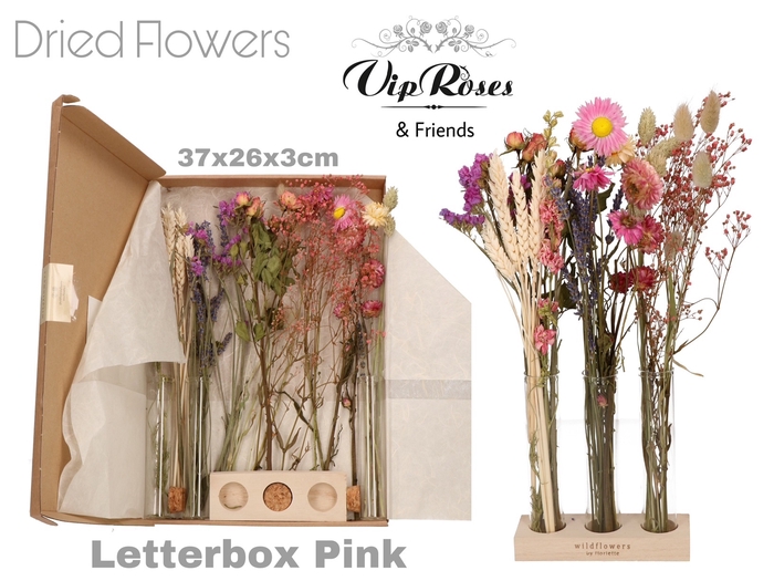 DRIED LETTERBOX PINK TUBES