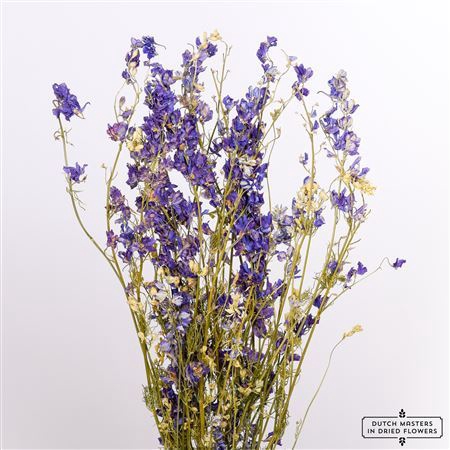 <h4>Dried Delphinium Blue Extra Bunch</h4>