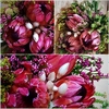 3 Protea Carousel bouquet