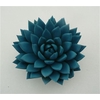 Echeveria Agavoides Paint Blue Cutflower Wincx-12cm