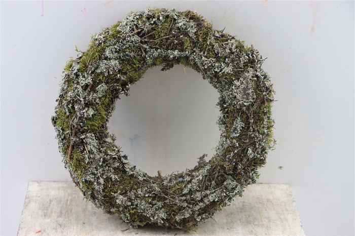 <h4>Wr Larix Moss 40cm Natural</h4>