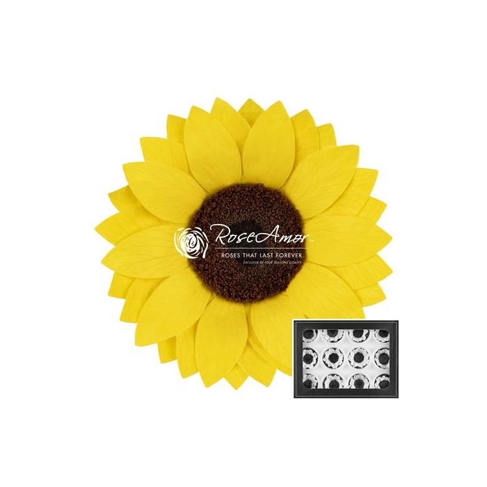 <h4>Sunflower Warmi Yel02</h4>