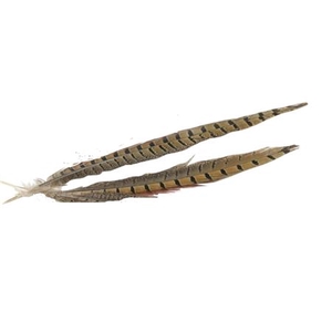 Feather Pheasant 2 Pcs L30