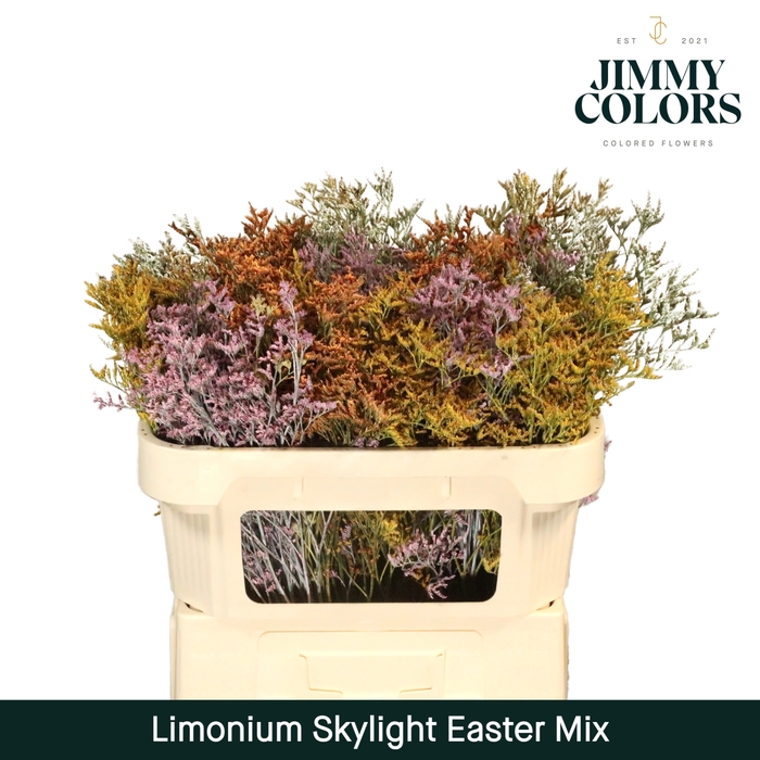 <h4>Limonium Skylight L70 Easter mix</h4>