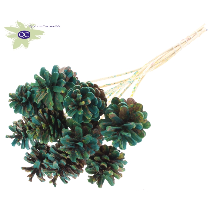 <h4>Pine cone 5-7cm on stem Multicolour Green</h4>