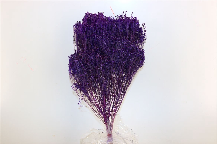 <h4>Dried Broom Bloom Violet Bunch Poly</h4>
