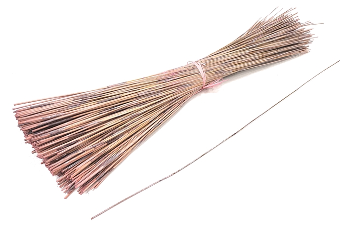 Wooden stick length 70cm ± 400stem per bundle Frosted Pink