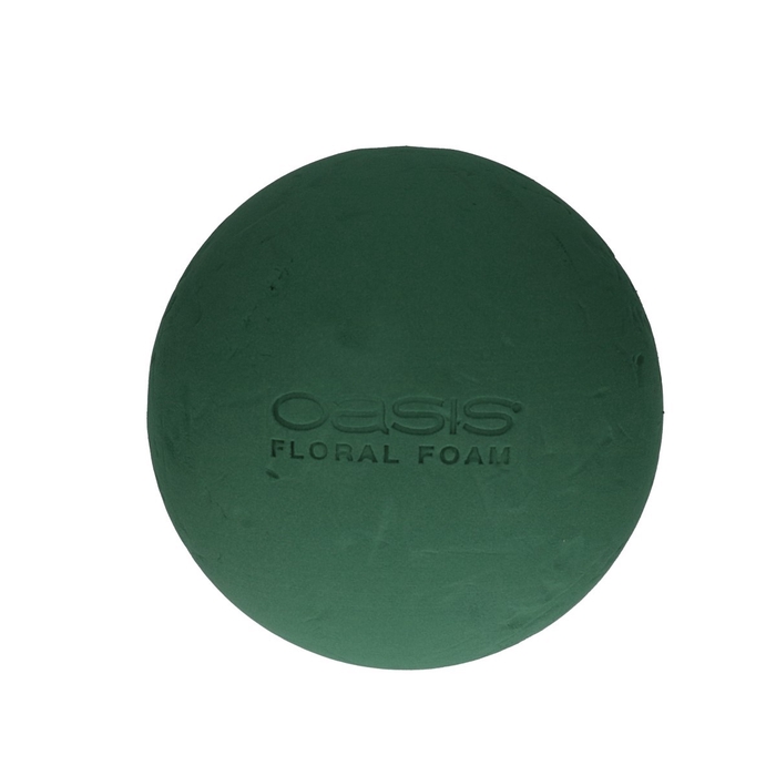 Oasis Ball Ideal 25cm