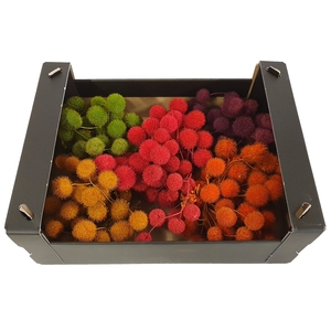 Small ball per bunch in poly Mixed colours Autumn