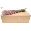 Triticale per bunch Frosted Pink