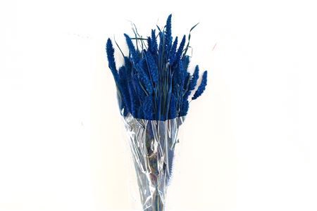 <h4>Dried Setaria D Blue Bunch</h4>