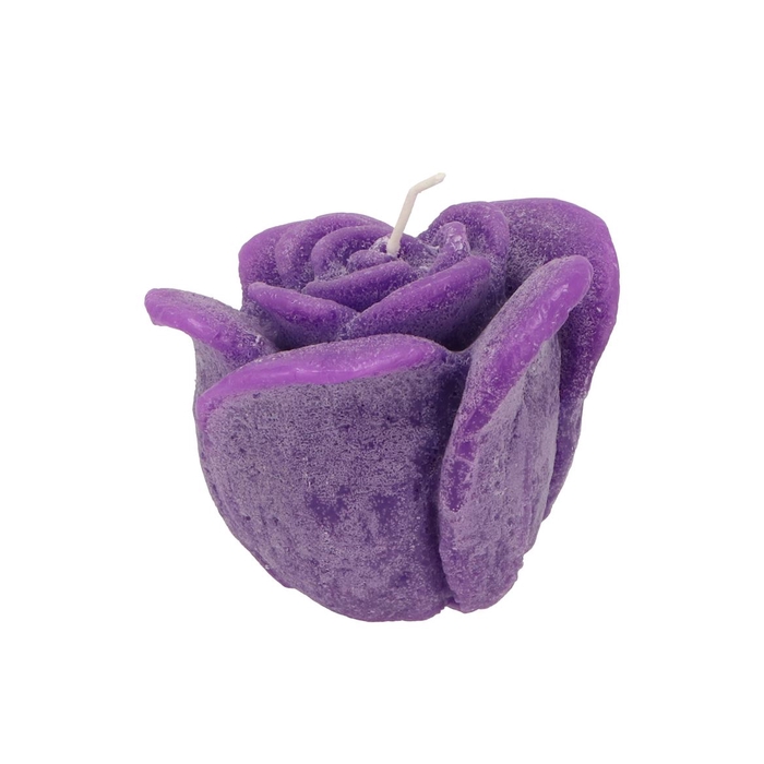 <h4>Candle Roos Purple 11x9cm</h4>