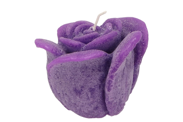 <h4>Candle Roos Purple 11x9cm</h4>