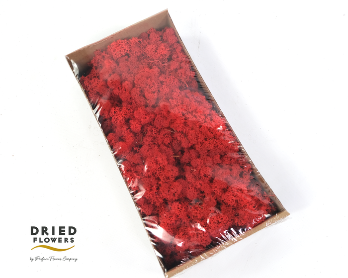 <h4>Dried Reindeer Moss Red</h4>