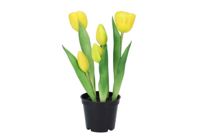 Silk Tulip In Pot 5x Yellow 26cm