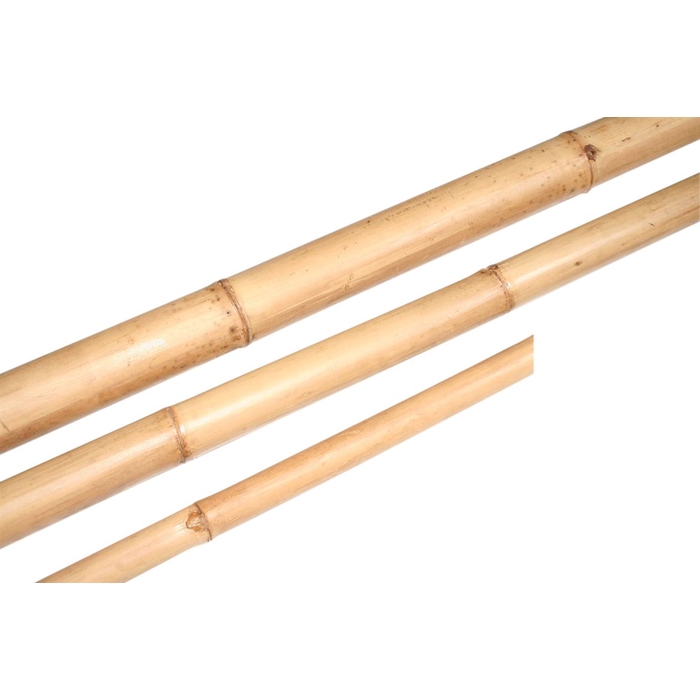 <h4>Branch Bamboo L210D4</h4>
