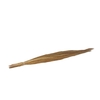 Dried Chinese Broom Natural Bunch Slv